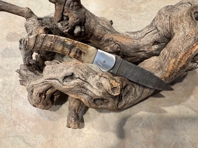 Faca de lâmina dobrável Big Damascus com cabo de chifre Rams - Imagem 1 de 4