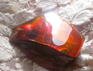 Ammolita Roja 57x61x19mm AMOLITA Amonita Canadá - Imagen 1 de 6