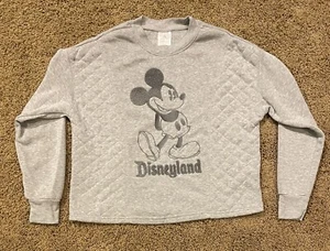 Womens disneyland embroidered sweatshirt gray size XS - Picture 1 of 6