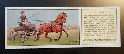 HACKNEY  No25 TYPHOO TEA VINTAGE TRADE CARD 1938 HORSES SERIES - Image 1 of 2