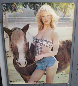 1979 DOROTHY STRATTEN Playmate POSTER 22"x28" CM4828 - Picture 1 of 3