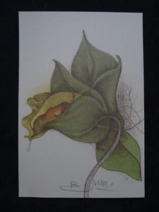 Bruno Bruni 1935 - Orchidea - Lithografie signiert - Bild 1 von 6