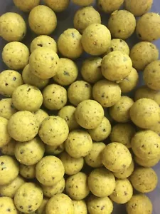 DYNAMITKÖDER 15 mm SCOPEX & VANILLE BOILIES - 100g PACKUNG KARPFENKÖDER - Bild 1 von 1
