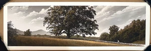 THE SHAWSHANK REDEMPTION VARIANT PRINT BY JC RICHARD Morgan Freeman Mondo Poster - Picture 1 of 1