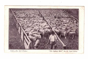 Vintage Postcard c1906 - The Bell Wether. "The Sydney Mail" On the Land VIII. - Picture 1 of 2
