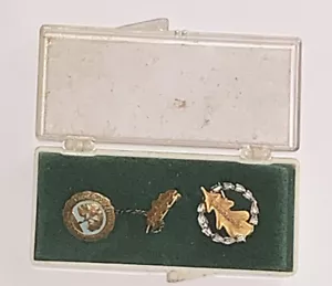 2 Pins & Case 1891 California National Congress Of Parents & Teachers Leaf 10K - Picture 1 of 8