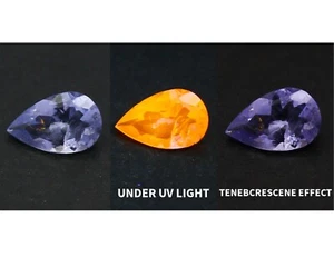 Natural Color Change Hackmanite 0.17 Carat 5.6x3.5 MM Pear Shape Faceted Gem - Picture 1 of 13