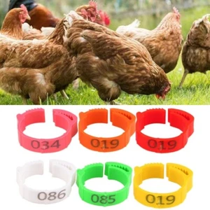 100x Verstellbar Clip On Leg Band Ringe für Hühner Enten Hühner Geflügel Taube - Bild 1 von 15