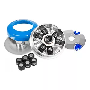 Variador Completo Polini Piaggio Si Bravo Boxer Ciao Grillo Boxer Sc Fl Px - Imagen 1 de 4