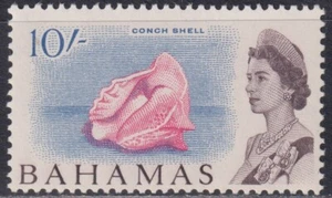 BAHAMAS: n°206 **, coquillage (cote 24€) - Picture 1 of 1