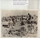 1941 German and Italian POWs Captured by Australians Tobruk Original News Photo