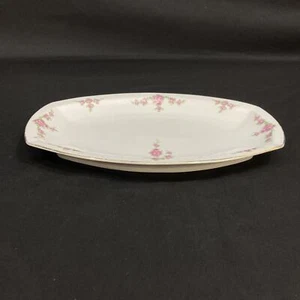 H&C Heinrich Rosalinda Pink Rose Vine 11" Vintage Platter Bavaria 1930-67 - Picture 1 of 5