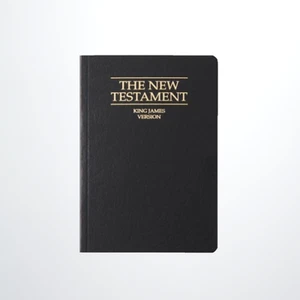 THE BIBLE - THE NEW TESTAMENT - KING JAMES VERSION POCKET SIZE JESUS CHRIST - Picture 1 of 6