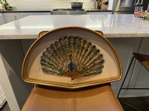 Stunning Antique Shadow Box Framed Hand Painted Sequin Peacock Hand Fan - Picture 1 of 9