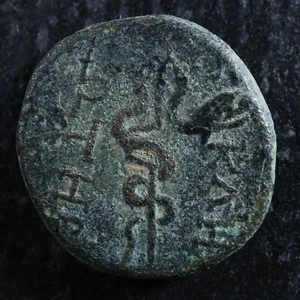 Pergamon Mysia AE14 -133 to -127 Asklepios serpent-entwined staff - Photo 1 sur 2