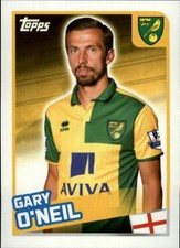 2015-16 Merlin's English Premier League Stickers #311 Gary O'Neil