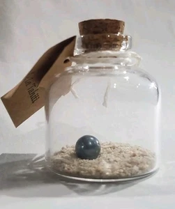 Tahiti Black Pearl & Sand Display Jar | Authentic Island Souvenir Art Decor - Picture 1 of 5