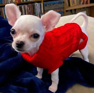 XXXS XXS XS Teacup Yorkie Dog Sweater Pet Hoodie Winter Outfit for Cat chihuahua
