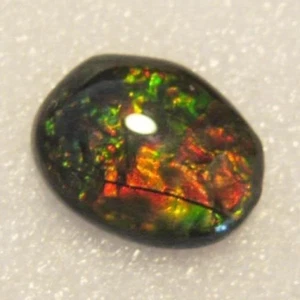 AMMOLITE MULTICOLOR ECCEZIONALE TAGLIO OVALE FANCY 15,0 X 12,0 MM - Foto 1 di 3