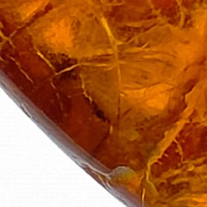 Amber fossil natural polished gemstone w/ trapped insect inclusion 4.7ct - Picture 1 of 9