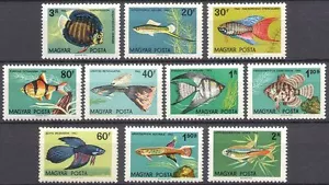 Hungary 1962 Tropical Fish/Ornamental/Aquaria/Discus/Tetra/Nature 10v set n39864 - Picture 1 of 1