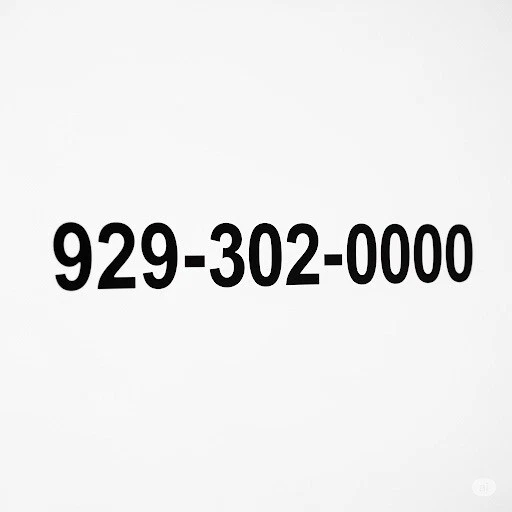 929-302-9999 Easy Vanity phone number NYC  - Image 1 of 1