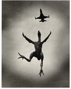 Alto uccellino volante•Foto di For Jaring 1989 CARTOLINA - Foto 1 di 1