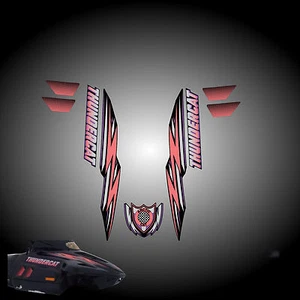Calcomanía de reproducción de gráficos Arctic Cat Thunder Cat 900 1993 moto de nieve - Imagen 1 de 1