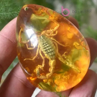 Hermoso colgante de pulido manual de insectos fósiles de escorpión ámbar de resina de 53 mm Foto 1 de 4