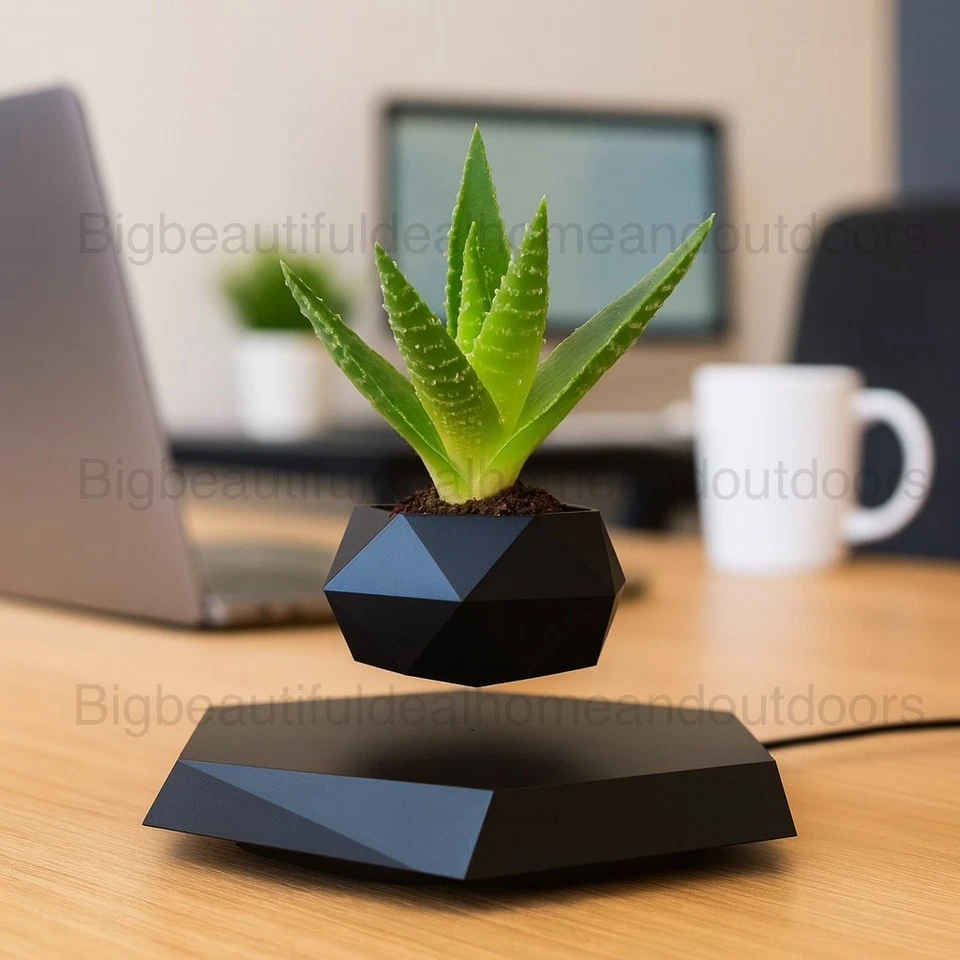 Magnetic Levitating Plant Pot Floating Planter for Succulents Bonsai Home Decor - Image 1 of 4