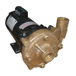 Dayton Pump,1/2 ,1 Ph,120/240VAC 2ZWZ6 Dayton 2ZWZ6 190735242346 - Picture 1 of 1