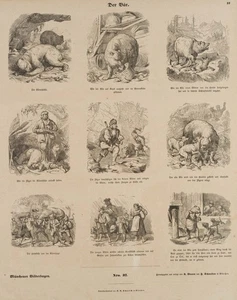 Der Bär, Münchener Bilderbogen, HSt. Historismus Jagen Unbekannt (19.Jhd) - Picture 1 of 4