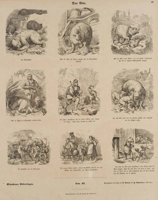 Der Bär, Münchener Bilderbogen, HSt. Historismus Jagen Unbekannt (19.Jhd) - Bild 1 von 4