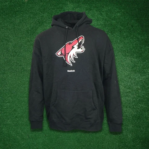 Arizona Coyotes Reebok NHL Team Crest Primary Logo Men's Black Pullover Hoodie Cover