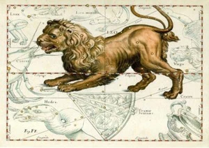 MAPA ESTRELLA CELESTIAL ZODIACO LEO REPRODUCCIÓN IMPRESIÓN A4 DE JOHANNES HEVELIUS - Imagen 1 de 1