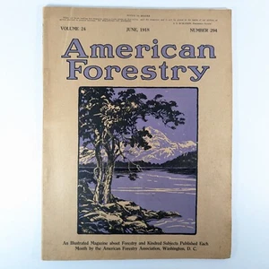 American Forestry June 1918 Magazine Great Cover Art - 16 Illustrated Articles - Picture 1 of 8
