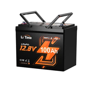 Litime 12V 100Ah Smart Group 24 LiFePO4 Lithium Battery with Bluetooth Function - Picture 1 of 13