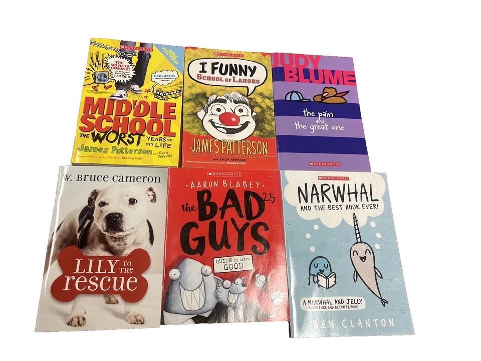 Лот из 6 книг для детей Scholastic — плохие парни Джеймс Паттерсон, Джуди Блум и другие - Изображение 1 из 4