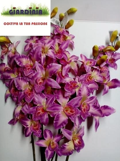 ORCHIDEA SINGOLA LAVANDER 6 STELI ATIFICIALE - Immagine 1 di 1