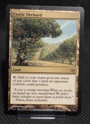 MTG - 1x Exotic Orchard - Conflux NM - Image 1 of 2