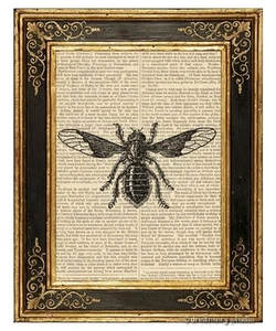 Bee Fly Art Print on Vintage Book Page Garden Farm Home Decor Wall Hanging Gifts - Picture 1 of 3