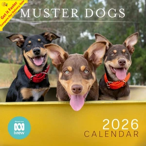 2026 Muster Dogs 12 Month To View MTV 610 x 305mm Square Wall Planner Calendar - Picture 1 of 6