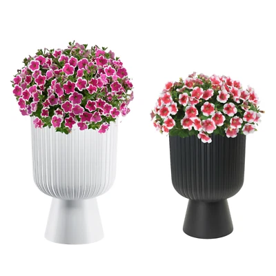 Blumenkübel Slim Rund Einsatz Blumentopf Pflanzgefäß 3 Farben 2 Größen DEKORATIV - Bild 1 von 4