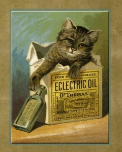 5x7 Vintage 1860's DR THOMAS ECLECTRIC OIL w/CAT advertisement art print - Bild 1 von 1