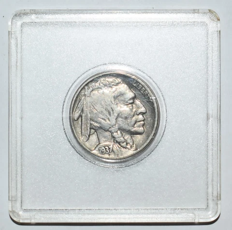 1937 Buffalo Nickel Coin Speared Buffalo Error Obverse & Reverse DD Strong Date Cover