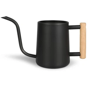 Watering Can for Indoor Plants, 35 oz/1000 ml Metal Stainless Steel Pot with ... - Picture 1 of 7