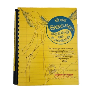 Secret World of Angels Daphne Reed Automatic Writing Spirit World First Edition - Picture 1 of 17