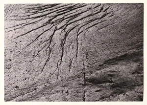 Michel Comte, exhibition invite, 2017 - Picture 1 of 2