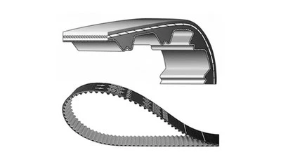 Courroie de distribution DAYCO Standard - Photo 1/2