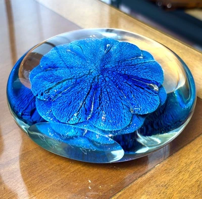 Pisapapeles EICKHOLT 1999 DSD vidrio artístico doble posición erizo de mar azul dicroico Foto 1 de 4